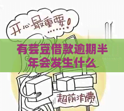 有芸豆借款逾期半年会发生什么