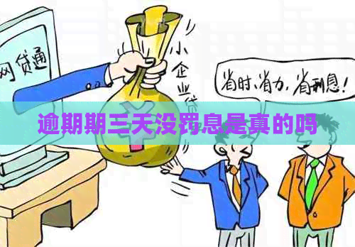 逾期期三天没罚息是真的吗