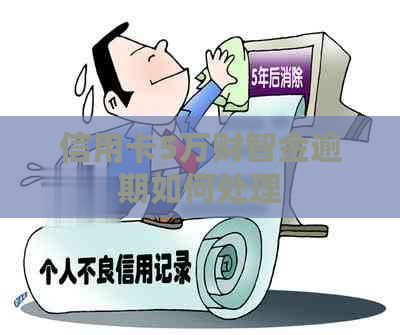 信用卡5万财智金逾期如何处理