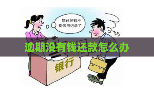 逾期没有钱还款怎么办