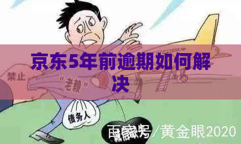 京东5年前逾期如何解决
