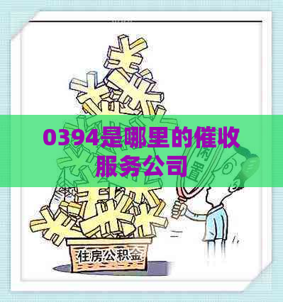 0394是哪里的服务公司