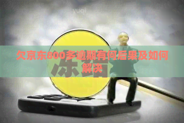 欠京东800多逾期有何后果及如何解决