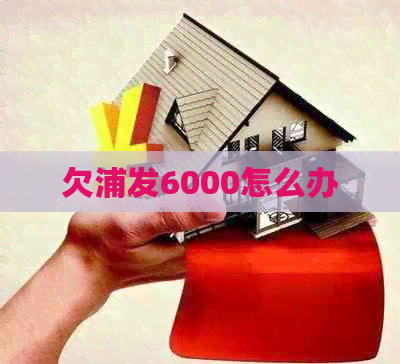 欠浦发6000怎么办