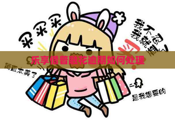 乐享借普融花逾期如何处理 乐享借普融花逾期如何处理