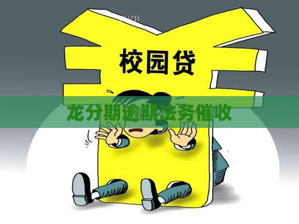 龙分期逾期法务