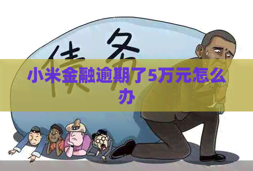 小米金融逾期了5万元怎么办