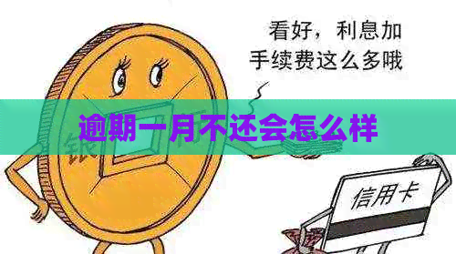 逾期一月不还会怎么样