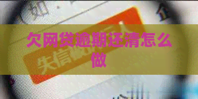 欠网贷逾期还清怎么做