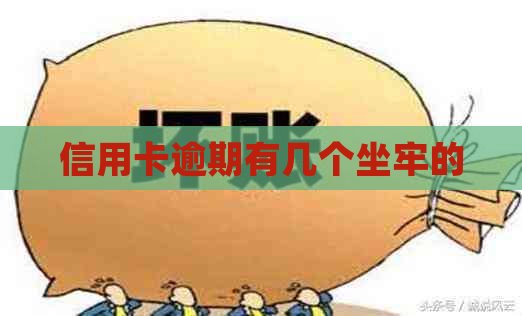 信用卡逾期有几个坐牢的