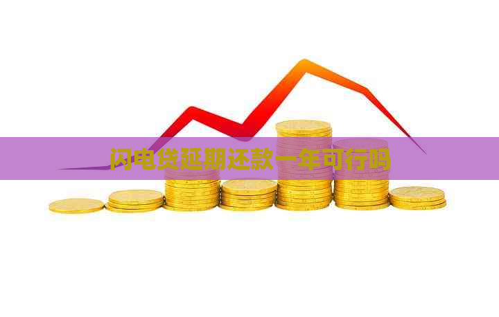 闪电贷延期还款一年可行吗