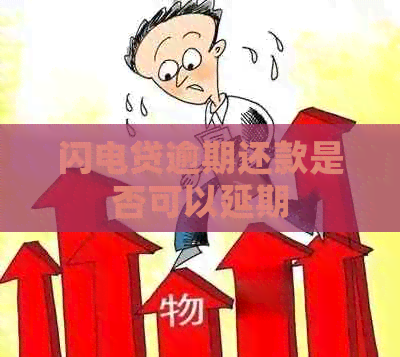 闪电贷逾期还款是否可以延期