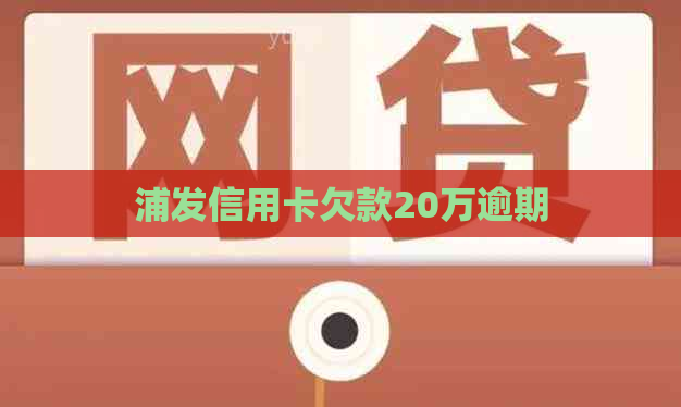 浦发信用卡欠款20万逾期