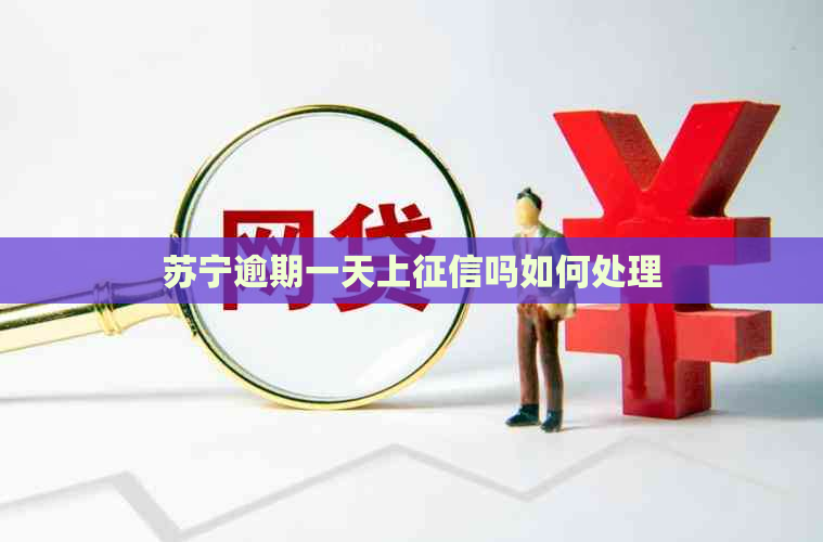 苏宁逾期一天上吗如何处理
