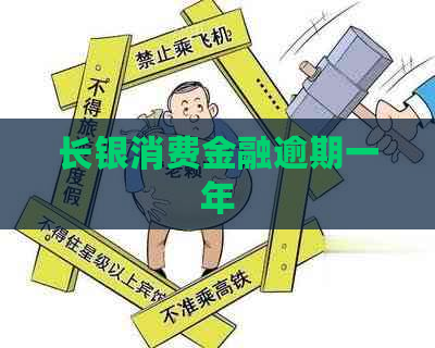 长银消费金融逾期一年