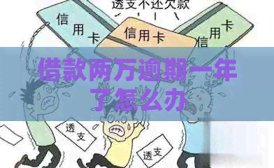 借款两万逾期一年了怎么办