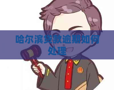 哈尔滨贷款逾期如何处理