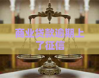 商业贷款逾期上了