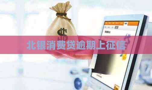 北银消费贷逾期上