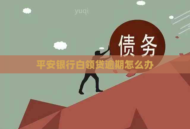 平安银行白领贷逾期怎么办
