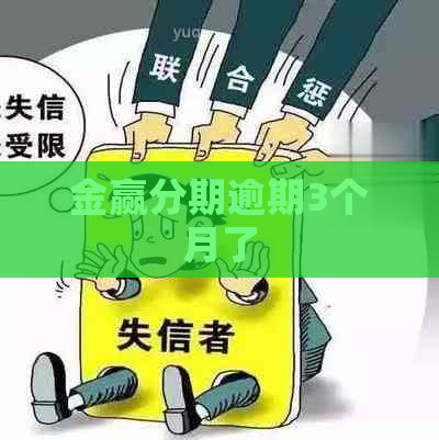 金赢分期逾期3个月了