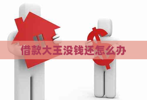 借款大王没钱还怎么办