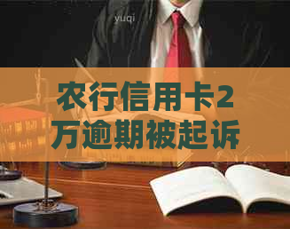 农行信用卡2万逾期被起诉的后果有哪些