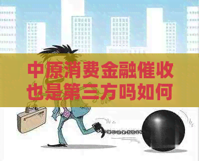 中原消费金融也是第三方吗如何操作