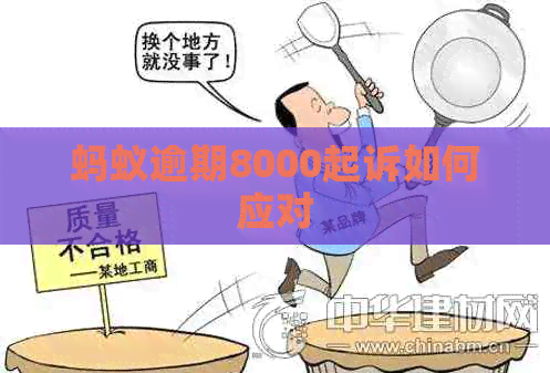 蚂蚁逾期8000起诉如何应对