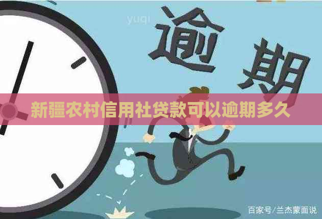 新疆农村信用社贷款可以逾期多久