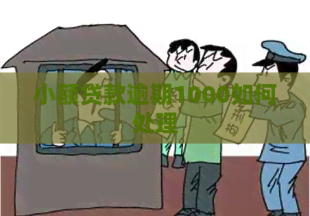 小额贷款逾期1000如何处理