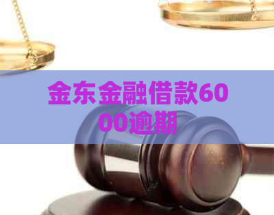 金东金融借款6000逾期