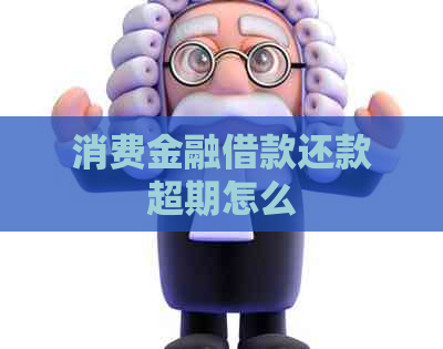 消费金融借款还款超期怎么