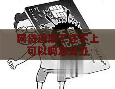 网贷逾期了还不上可以吗怎么办