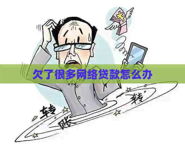 欠了很多网络贷款怎么办