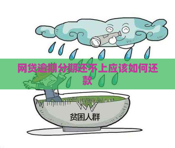 网贷逾期分期还不上应该如何还款