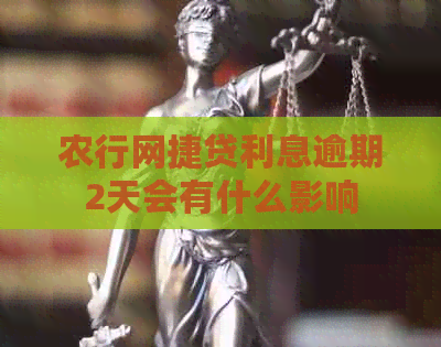 农行网捷贷利息逾期2天会有什么影响