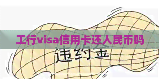 工行visa信用卡还人民币吗