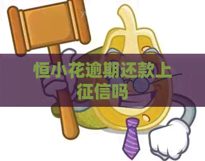恒小花逾期还款上吗