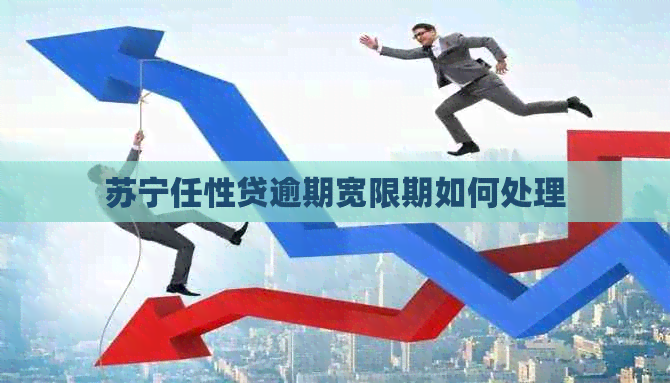 苏宁任性贷逾期宽限期如何处理
