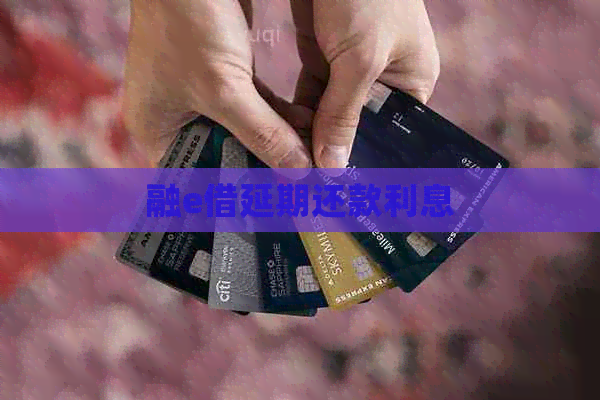 融e借延期还款利息
