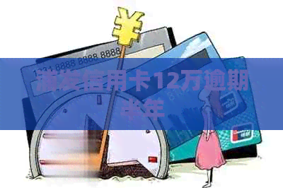 浦发信用卡12万逾期半年