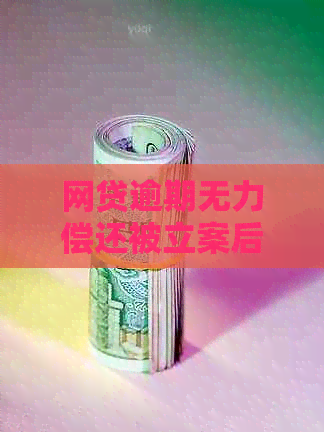 网贷逾期无力偿还被立案后的解决方法