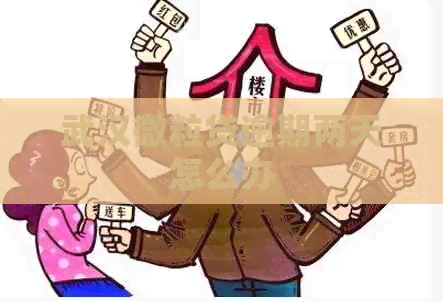 武汉微粒贷逾期两天怎么办