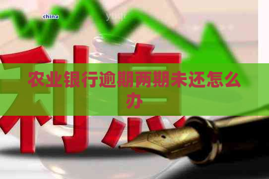 农业银行逾期两期未还怎么办