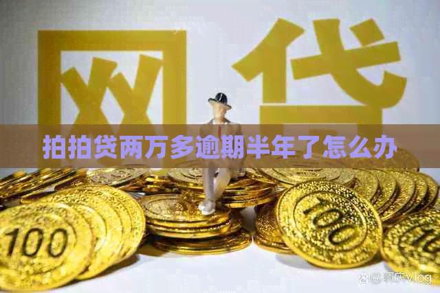 两万多逾期半年了怎么办