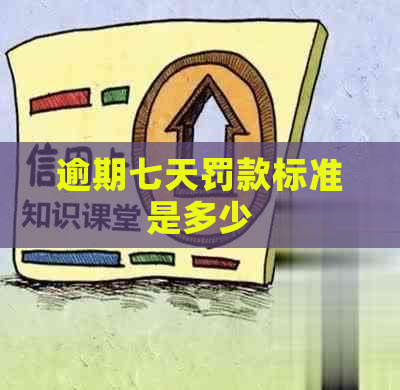 逾期七天罚款标准是多少