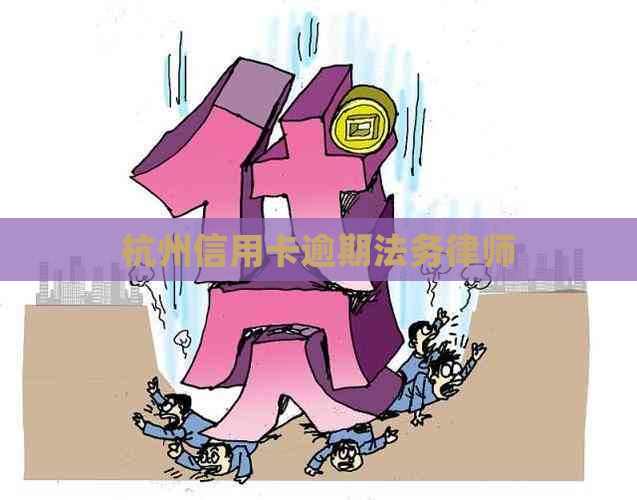 杭州信用卡逾期法务律师