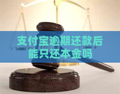 支付宝逾期还款后能只还本金吗