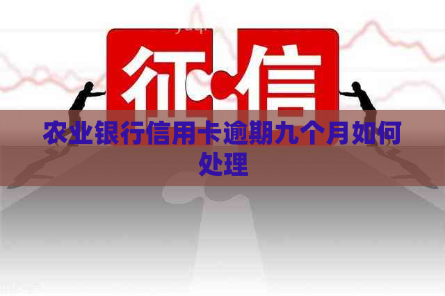 农业银行信用卡逾期九个月如何处理